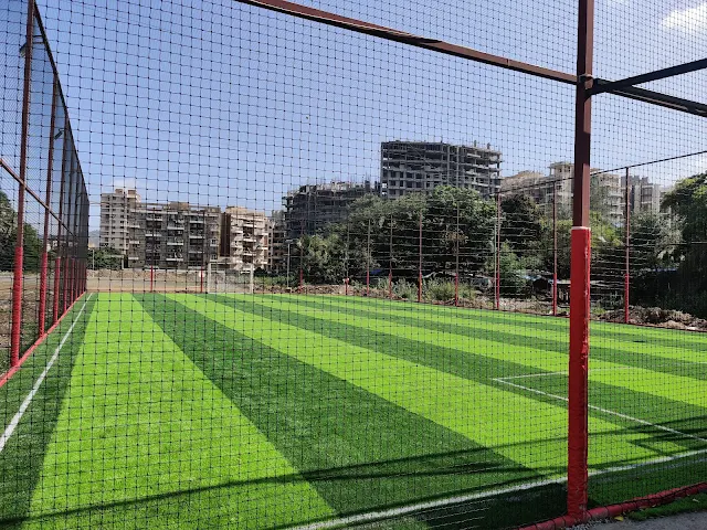 Turf photo 6