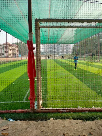 Turf photo 3