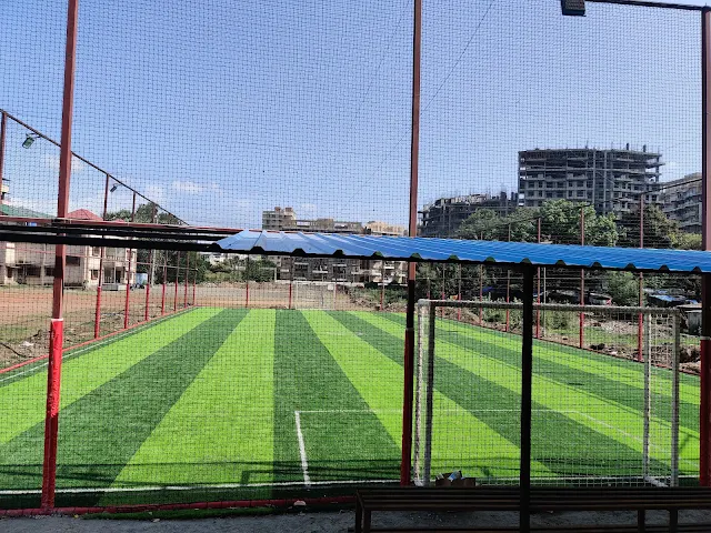 Turf photo 2