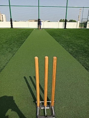 Turf photo 7