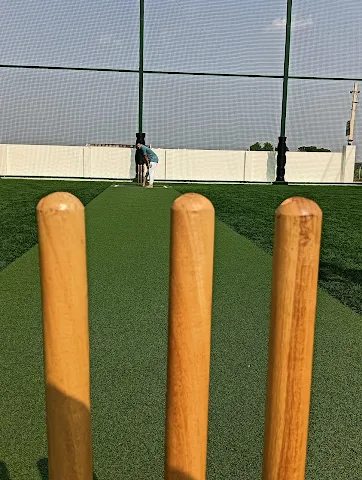 Turf photo 5