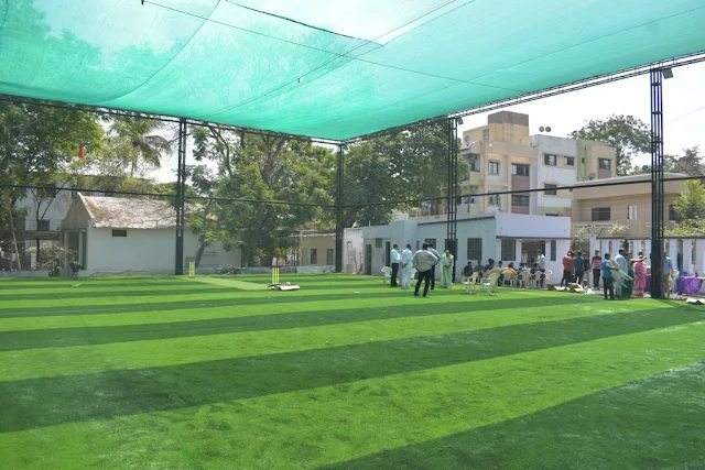 Turf photo 2