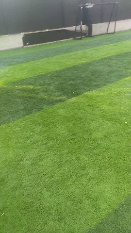 Turf photo 4