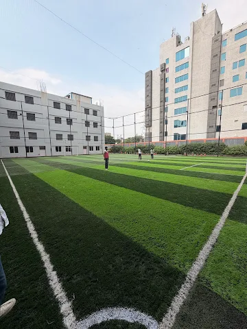 Turf photo 3