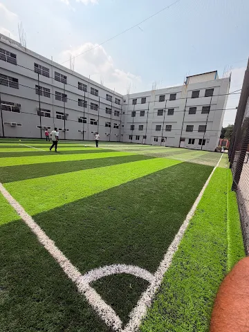 Turf photo 4