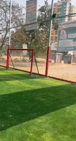 Turf photo 5