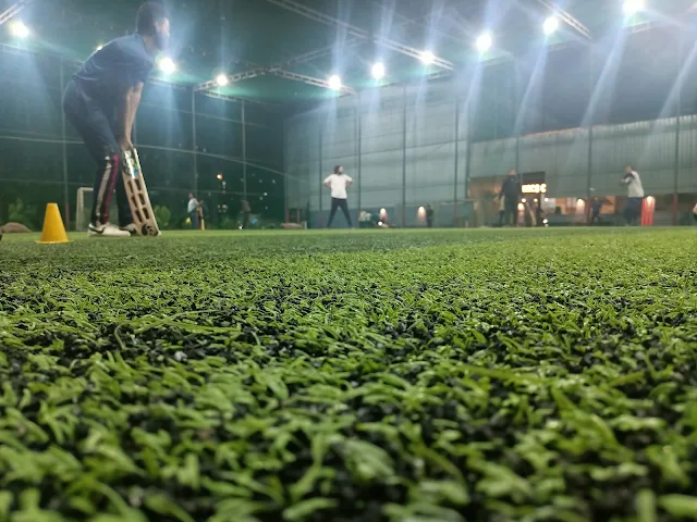 Turf photo 4