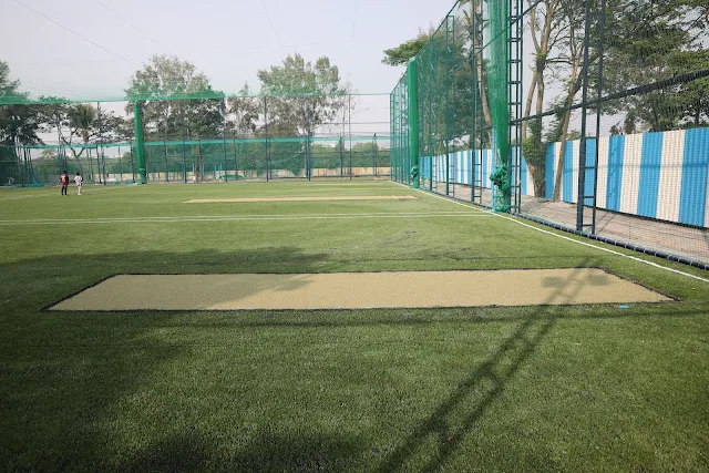 Turf photo 2