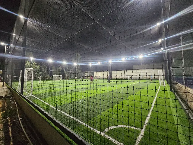 Turf photo 2