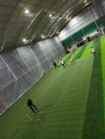 Turf photo 6