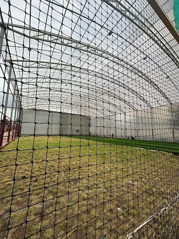 Turf photo 12
