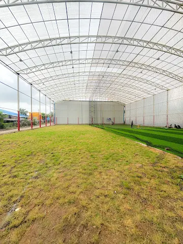 Turf photo 9
