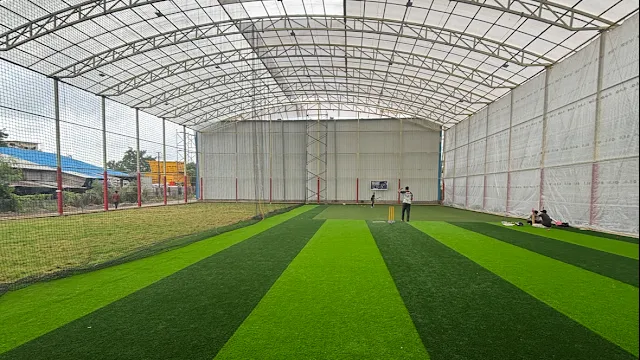 Turf photo 5