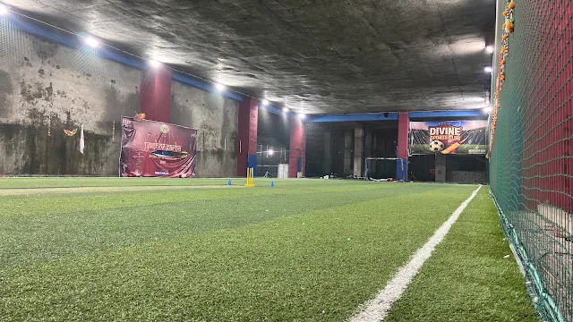 Divine sports turf