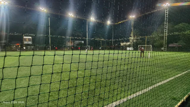 MFiP Turf