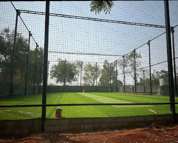 Turf photo 3