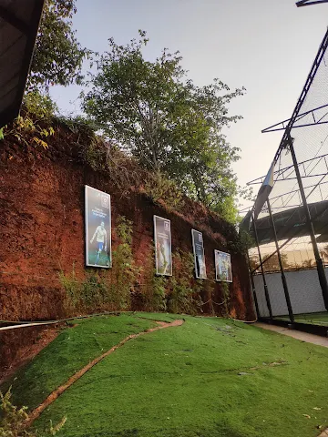 Turf photo 7