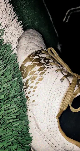 Turf photo 3