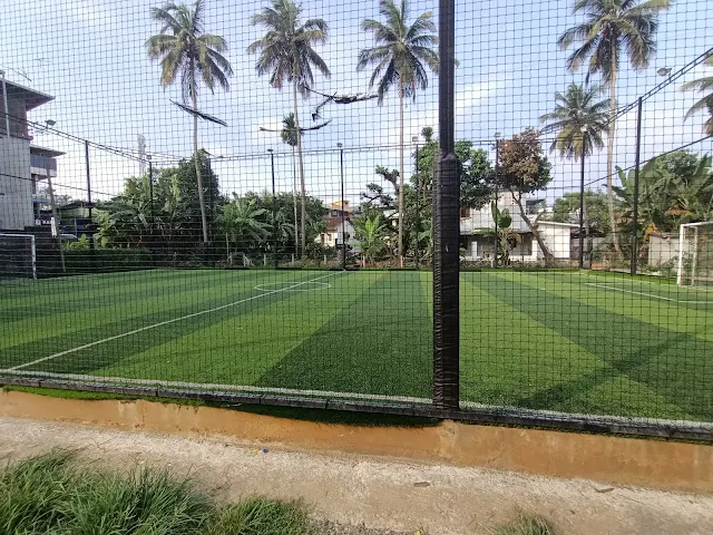 Turf photo 4