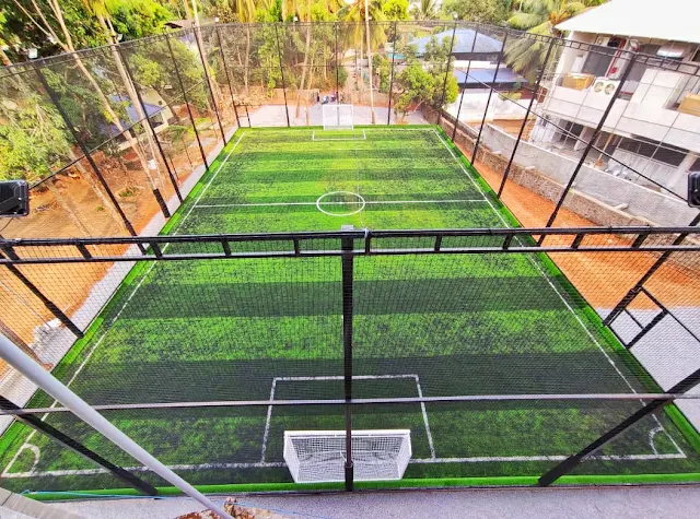 Turf photo 5