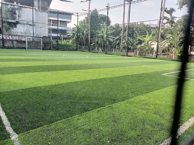 Turf photo 2