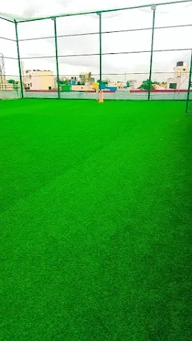 Turf photo 3
