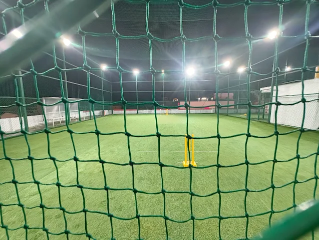 Turf photo 2