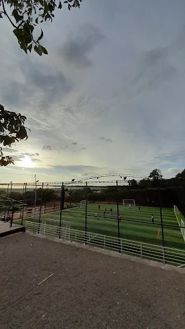 Turf photo 4
