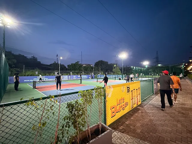Turf photo 2