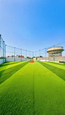 Turf photo 4