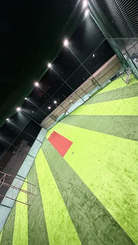 Turf photo 3