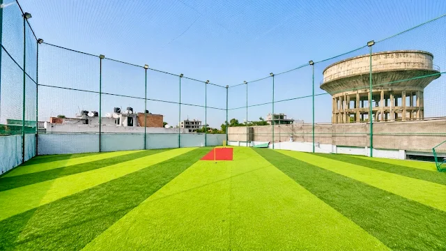 Turf photo 6