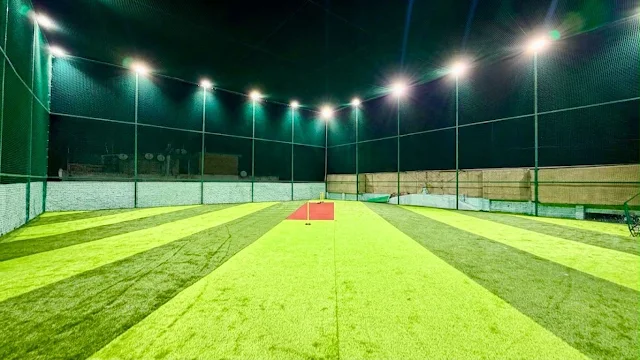 Turf photo 2