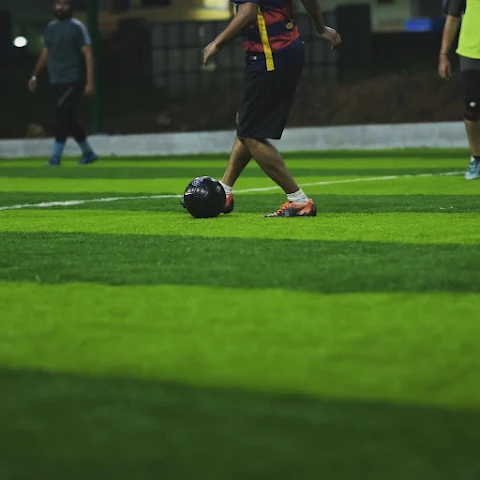 Turf photo 8