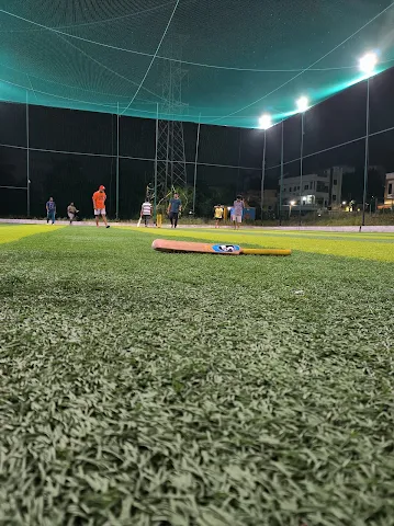 Turf photo 4