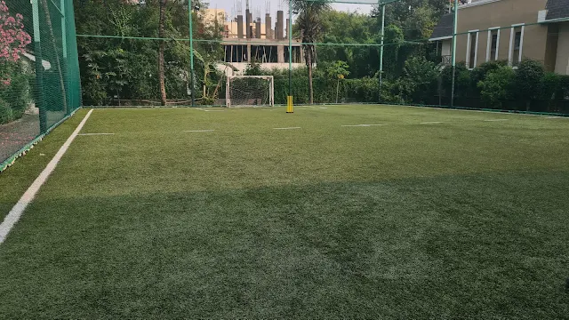 Turf photo 4