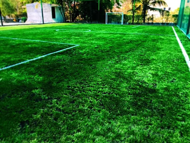Turf photo 3
