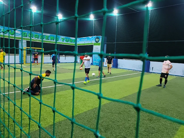Turf photo 2