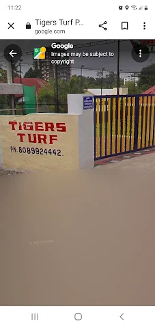 Turf photo 3