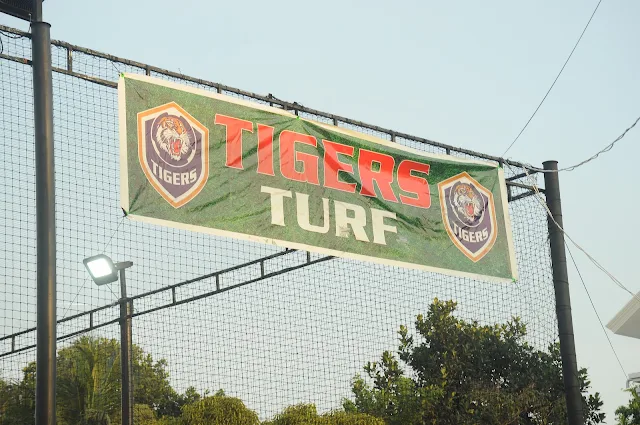 Turf photo 2
