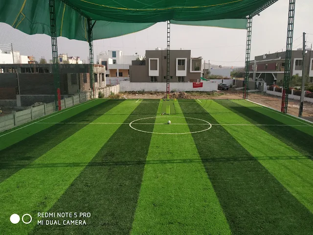 Turf photo 2