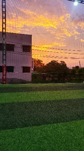 Turf photo 3