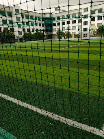 Turf photo 3