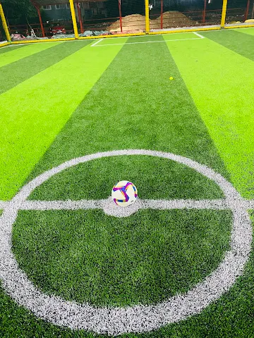 Turf photo 8