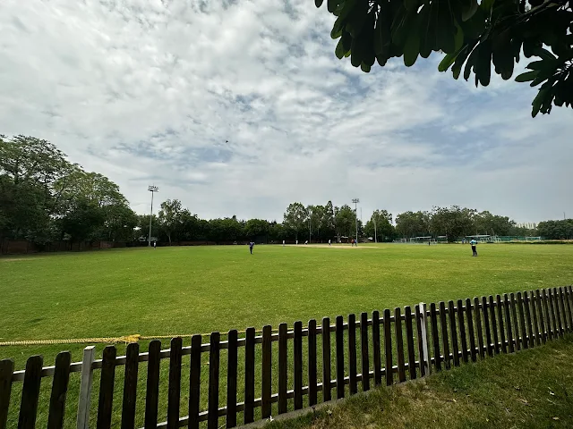 Turf photo 3