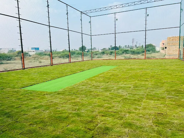 Denim Box Cricket-Top Box Cricket