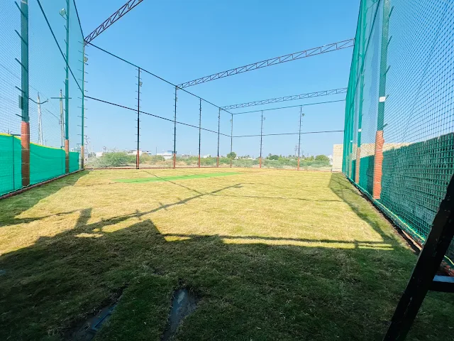 Turf photo 3