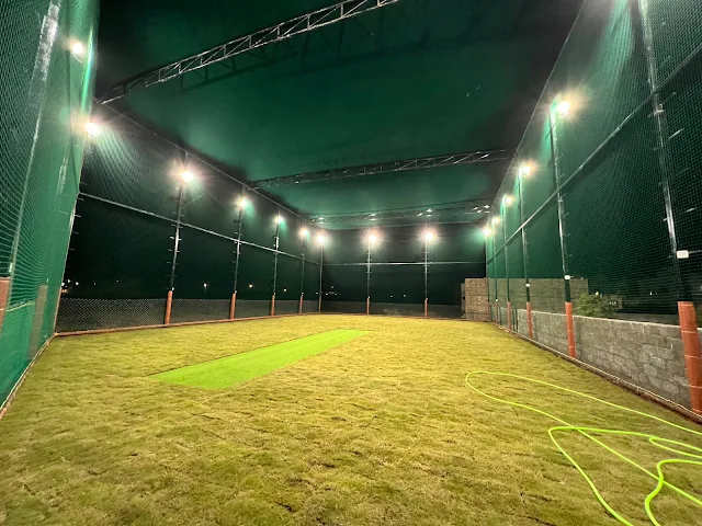 Turf photo 2