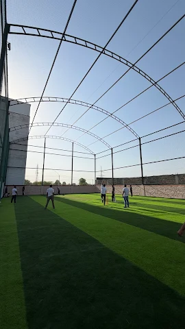 Turf photo 6