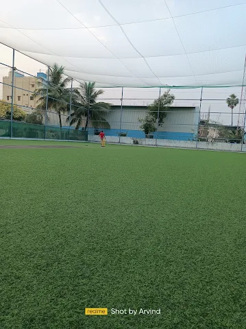 Turf photo 8
